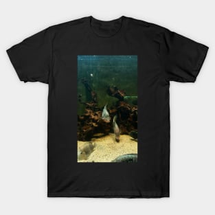 Green fish in the water T-Shirt